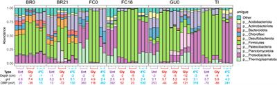 Glycerol amendment enhances biosulfidogenesis in acid mine drainage-affected areas: An incubation column experiment